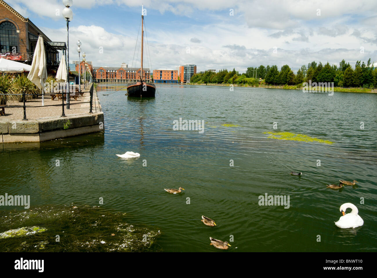 Das Wharf Public House neben der Bucht von Cardiff atlantic Wharf Cardiff south wales uk Stockfoto