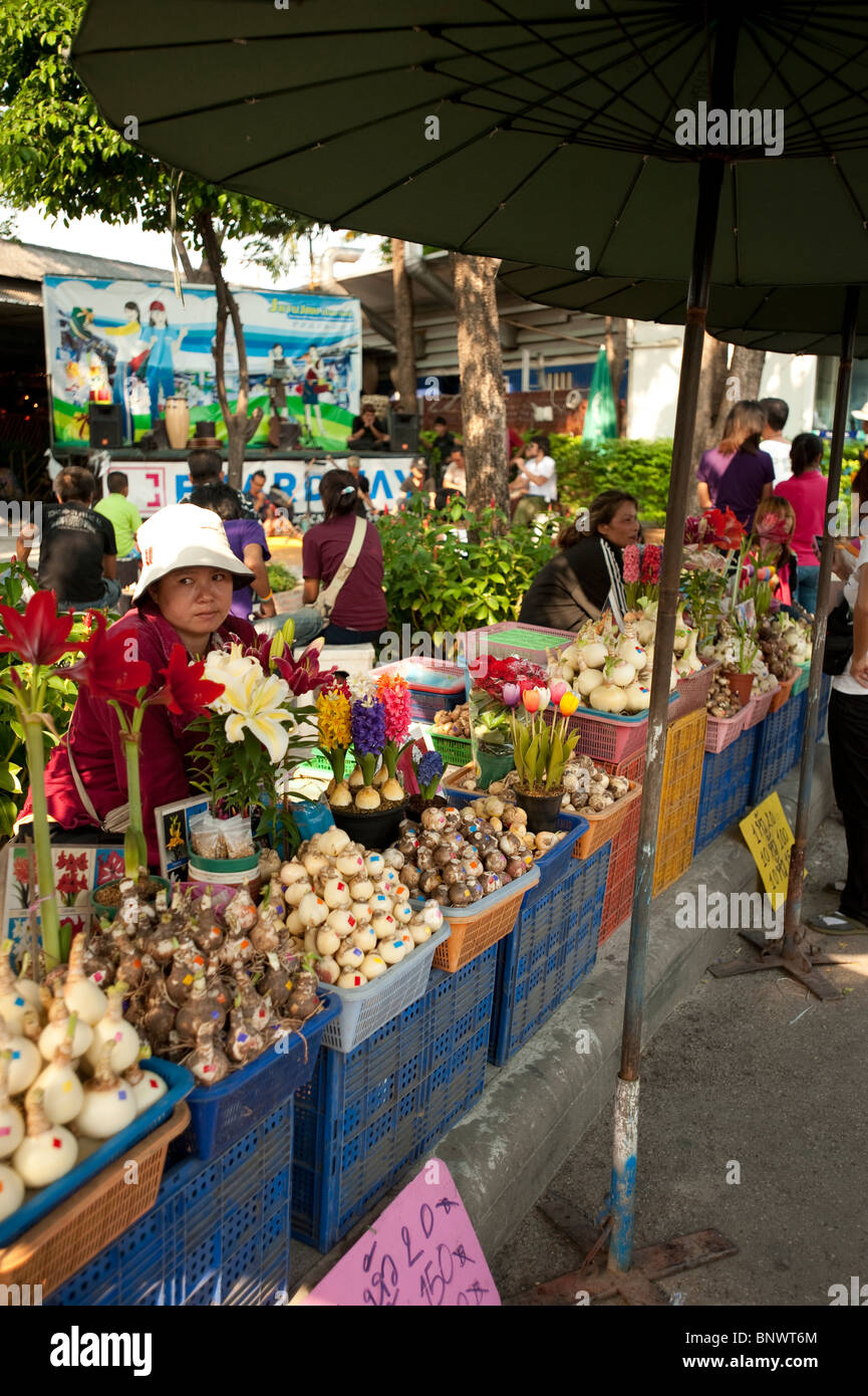 Chatuchak-Markt, Bangkok, Thailand, Asien Stockfoto