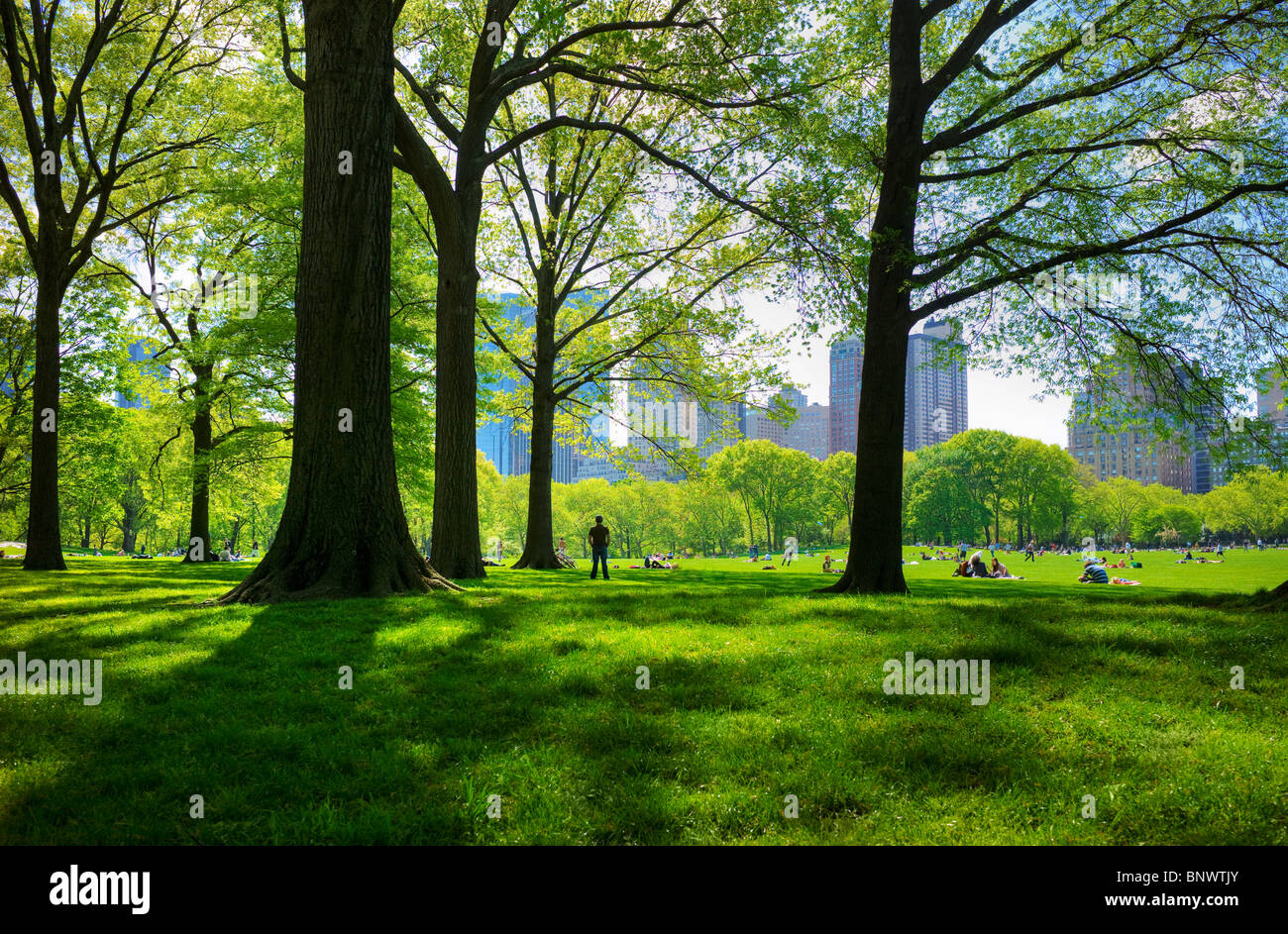 Große Liegewiese im Central Park Stockfoto