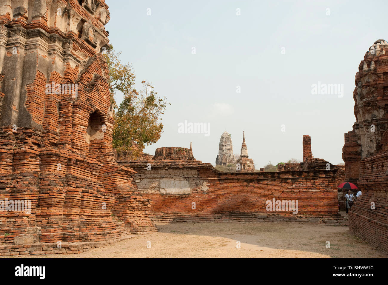 Wat Maha, Ayutthaya, Provinz Ayutthaya, Thailand, Asien Stockfoto