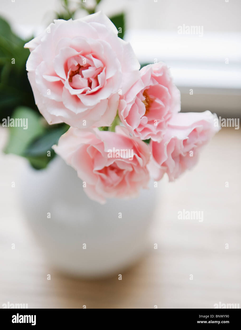 Vase mit Rosen Garten Stockfoto