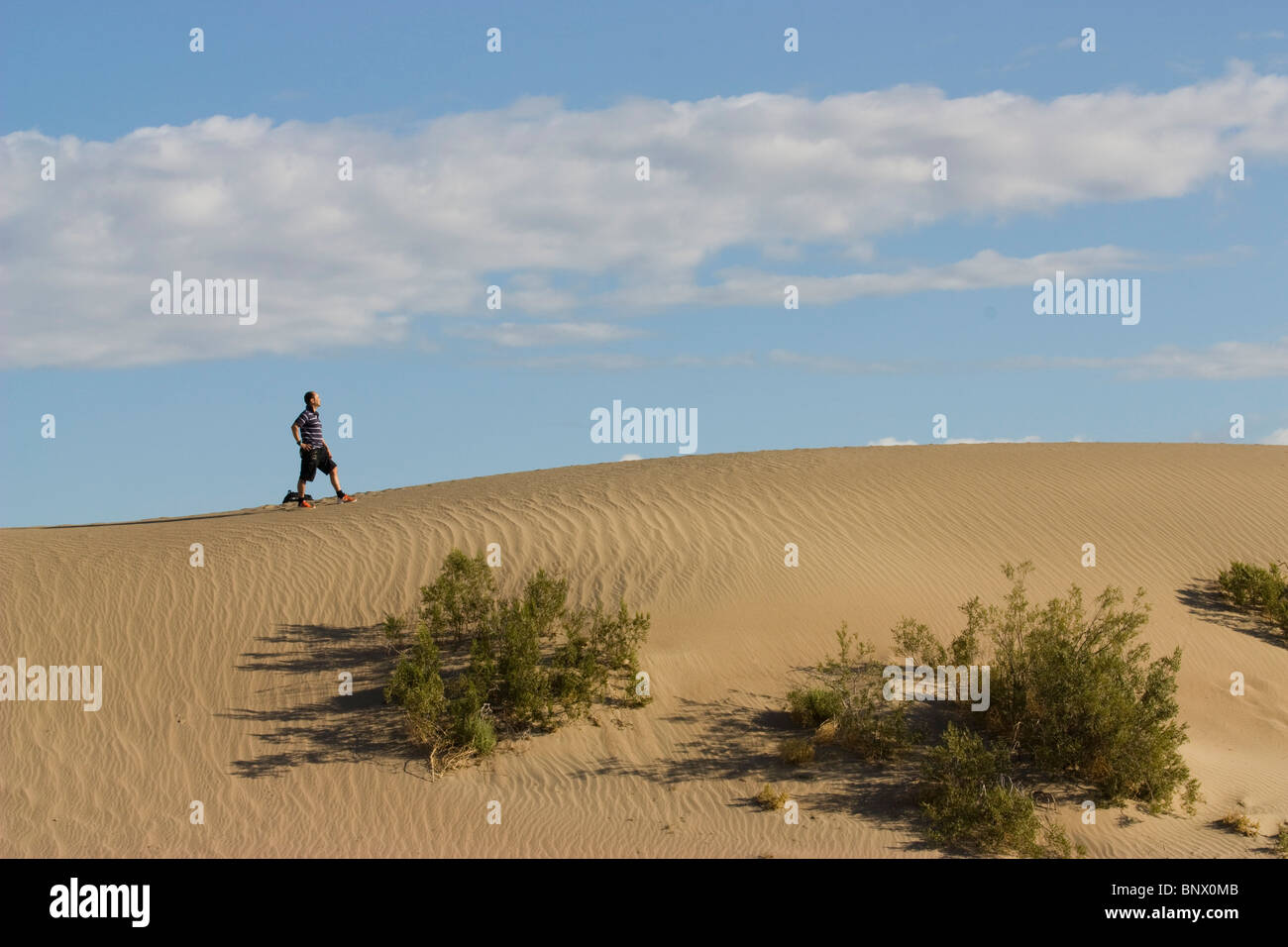 Fantastische Sanddünen in Death Valley, Kalifornien Stockfoto
