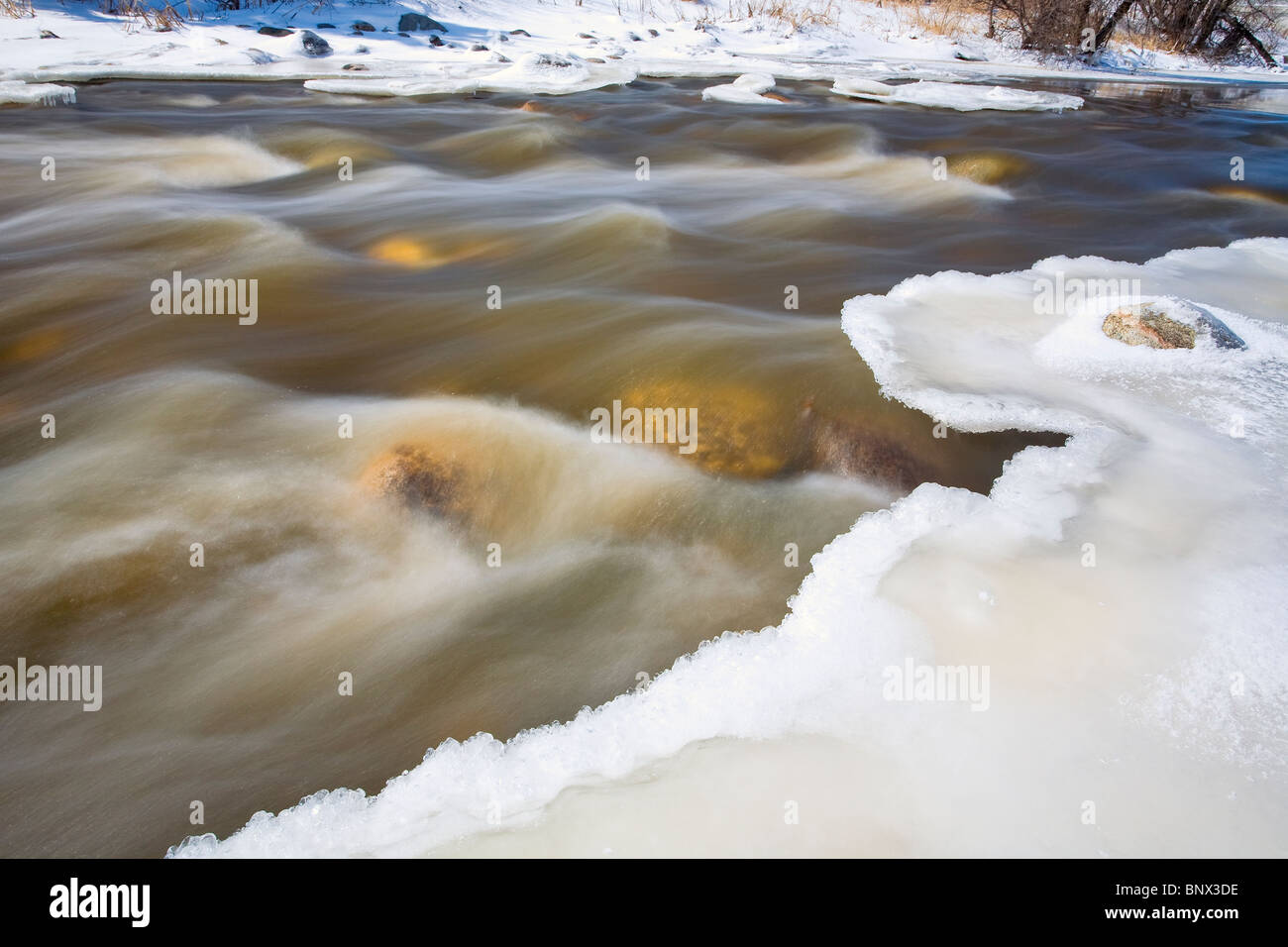 Schnell fließenden Bach im Frühjahr schmelzen.  Stör Creek, Winnipeg, Manitoba, Kanada. Stockfoto