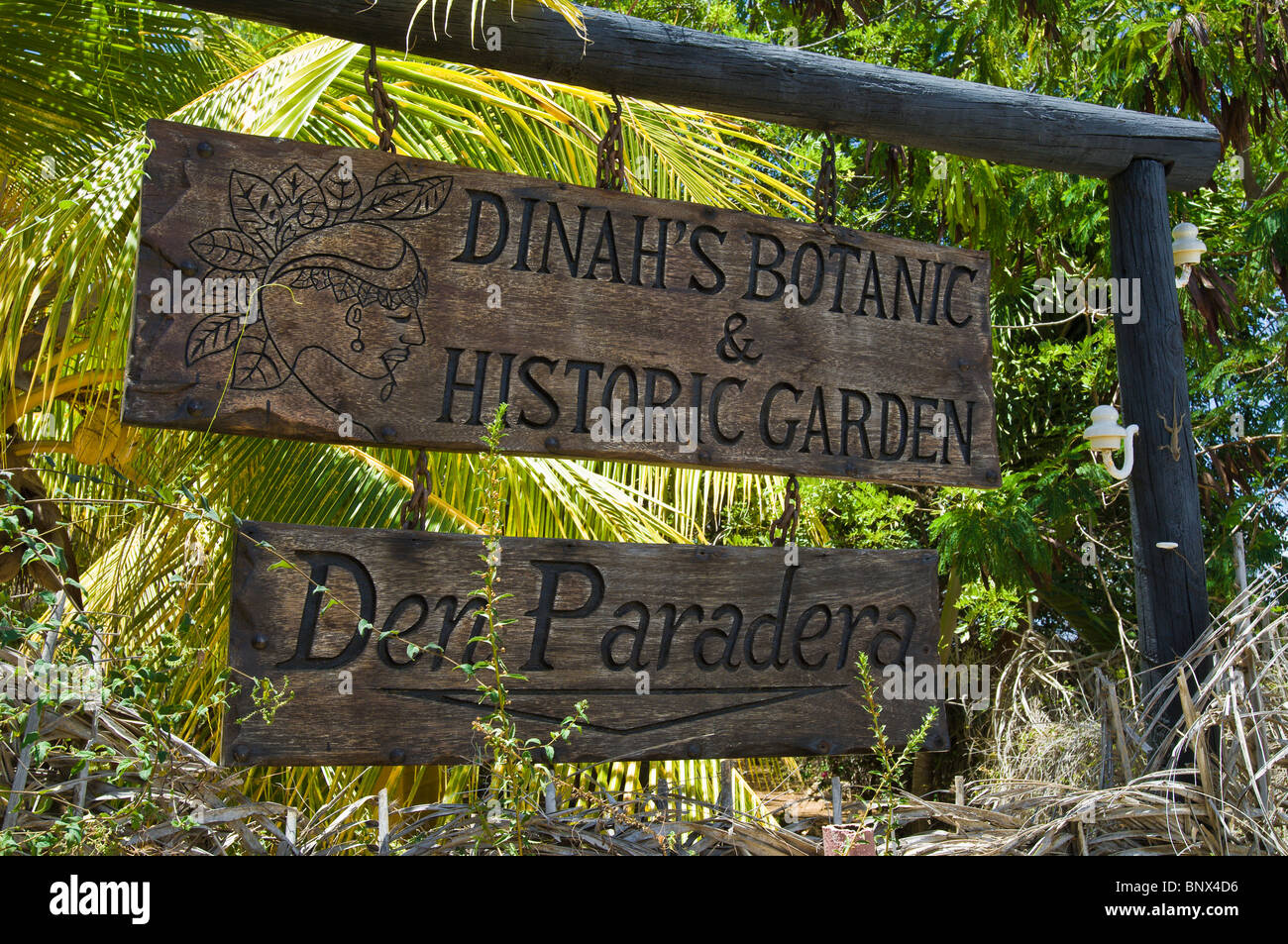 Tini es historische & botanischen Garten, Den Paradera, Curacao Stockfoto
