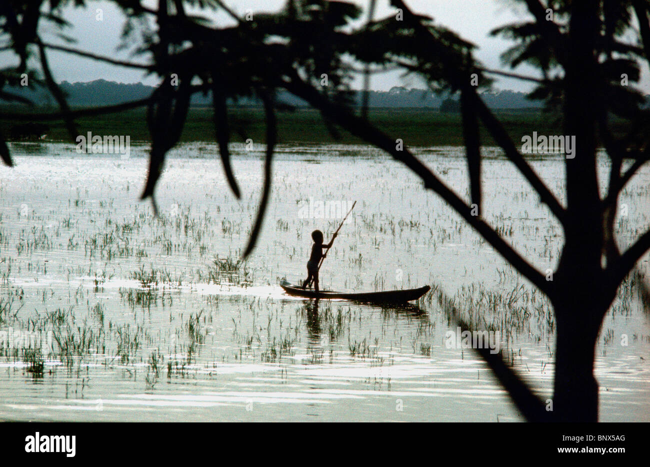 Brasilianische Kind poling Kanu auf Marajo Insel an der Mündung des Amazonas-Flusses. Stockfoto