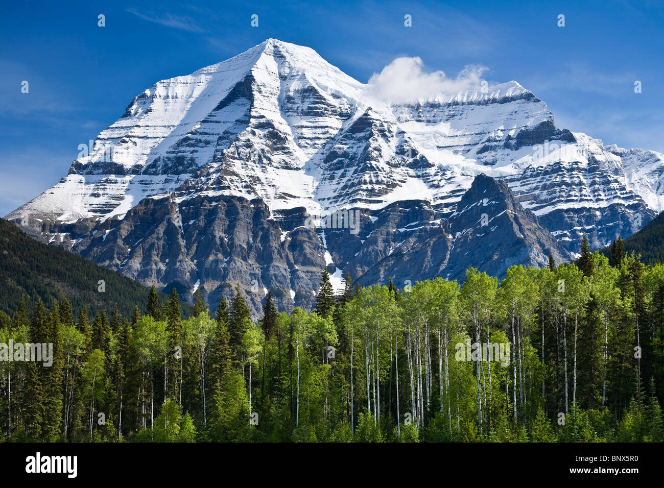 Mt Robson 3954m der höchste Punkt in den kanadischen Rocky Mountains von der Yellowhead Highway BC Kanada betrachtet Stockfoto