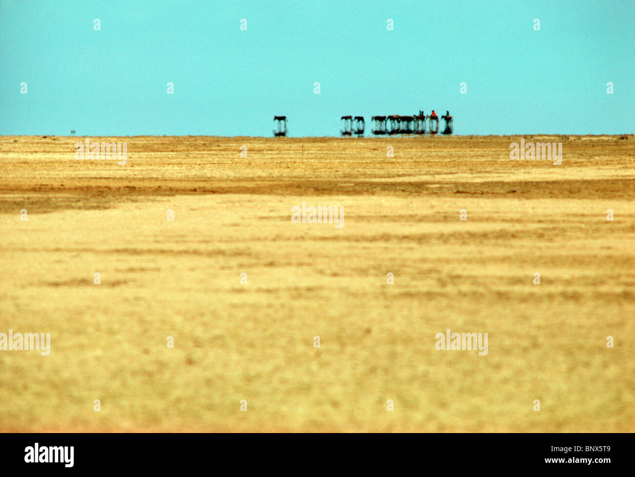 Guajiros, Südamerika nur Wüste Nomaden und ihre Lasttiere machen eine Fata Morgana, Manaure, Guajira-Halbinsel, Kolumbien. Stockfoto