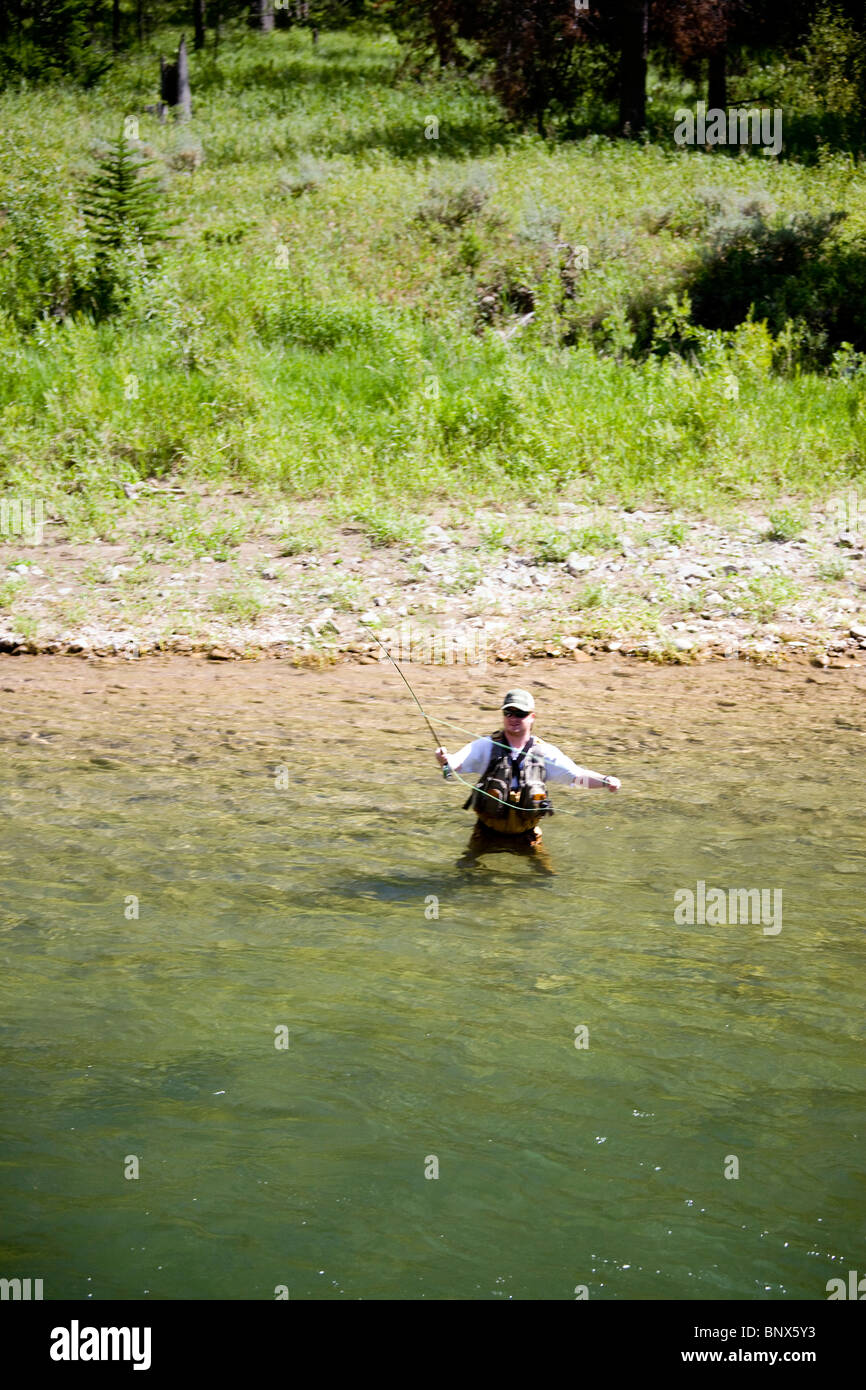 Fliegenfischen im Fluss Hoback, in der Nähe von Jackson Hole, Wyoming. Stockfoto