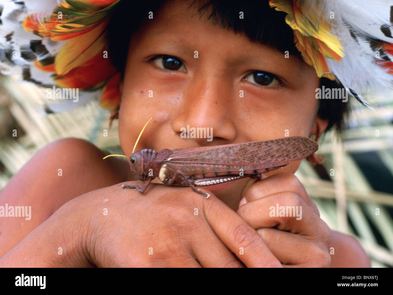 Young Urueu-Wau-Wau Indianer mit großen Heuschrecke Stockfoto