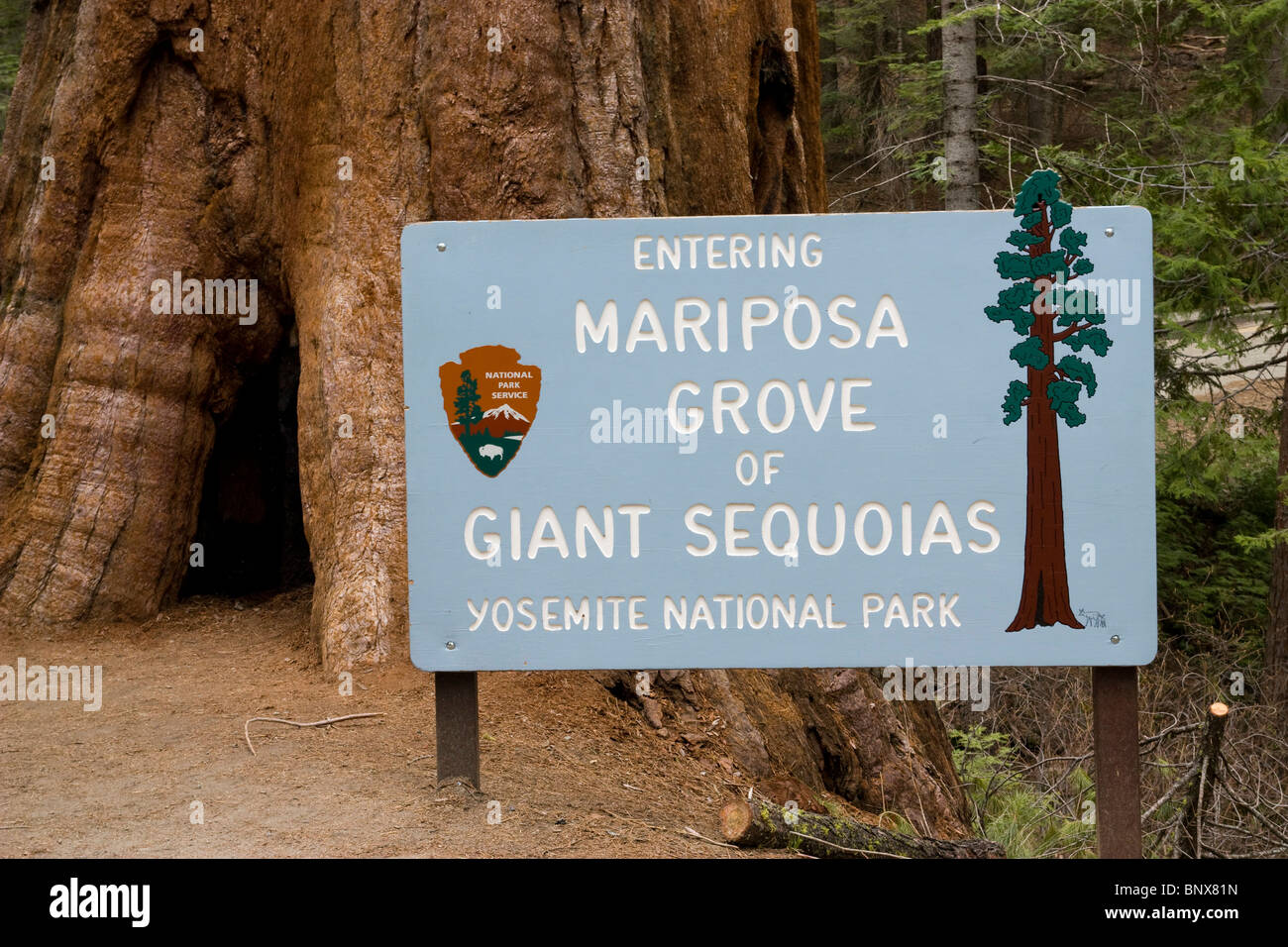 Eingang des Mariposa Grove Riesen Sequois Parks Stockfoto