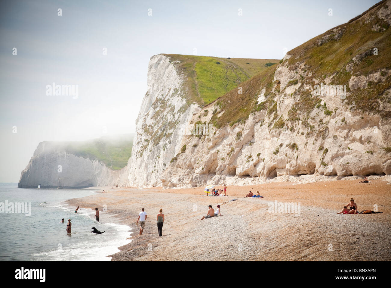 Kreidefelsen Sie (Swyre Kopf und Bat Kopf) oberhalb des Strandes bei Durdle Door, Dorset, England Stockfoto Kreidefelsen Sie (Swyre Kopf und Bat Kopf) oberhalb des Strandes bei Durdle Door, Dorset, England Stockfoto