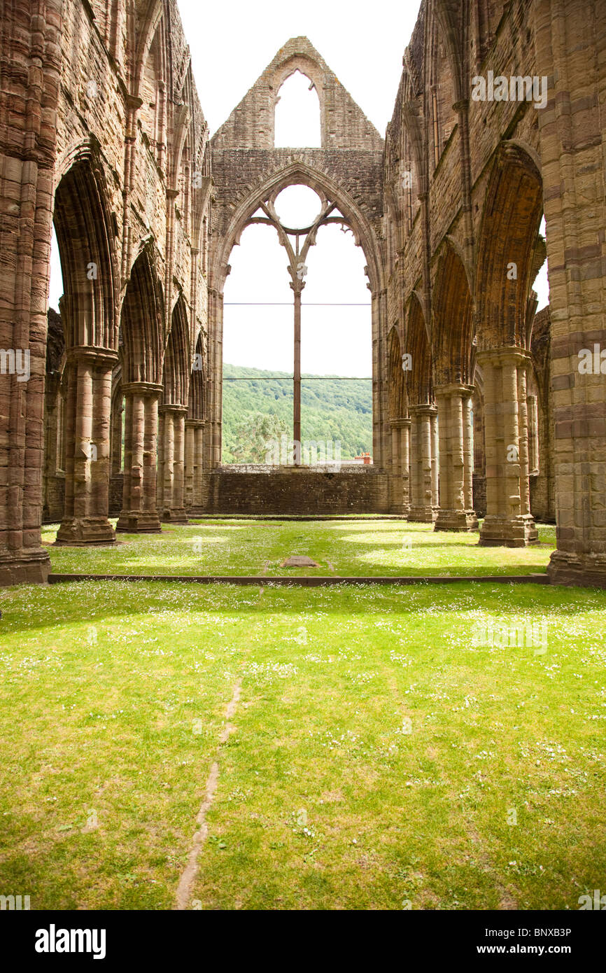 Die mittelalterlichen Ruinen von Tintern Abbey, Monmouthshire, Wales Stockfoto
