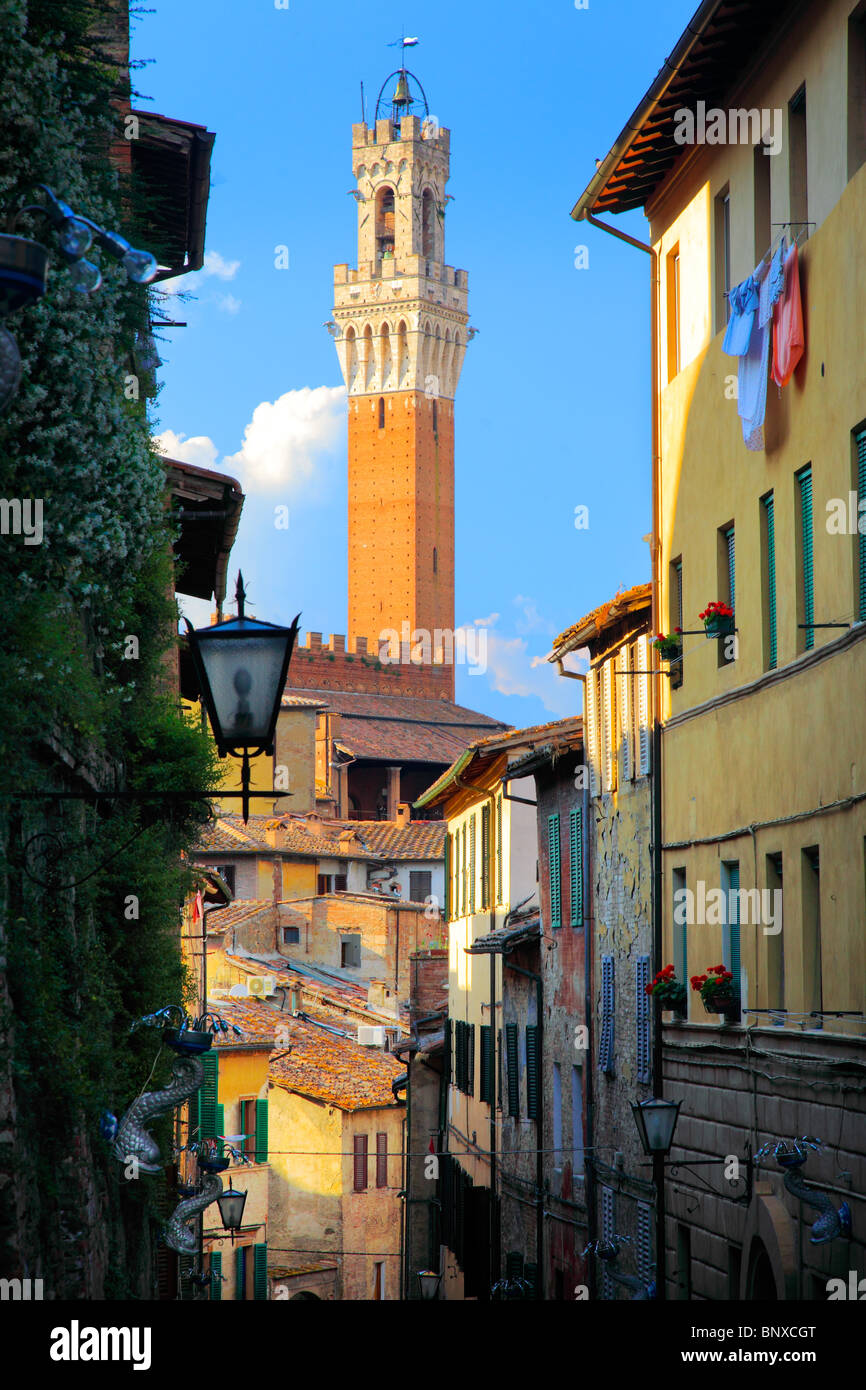 Torrre del Mangia Turm sichtbar von der Straße in Siena, Italien Stockfoto
