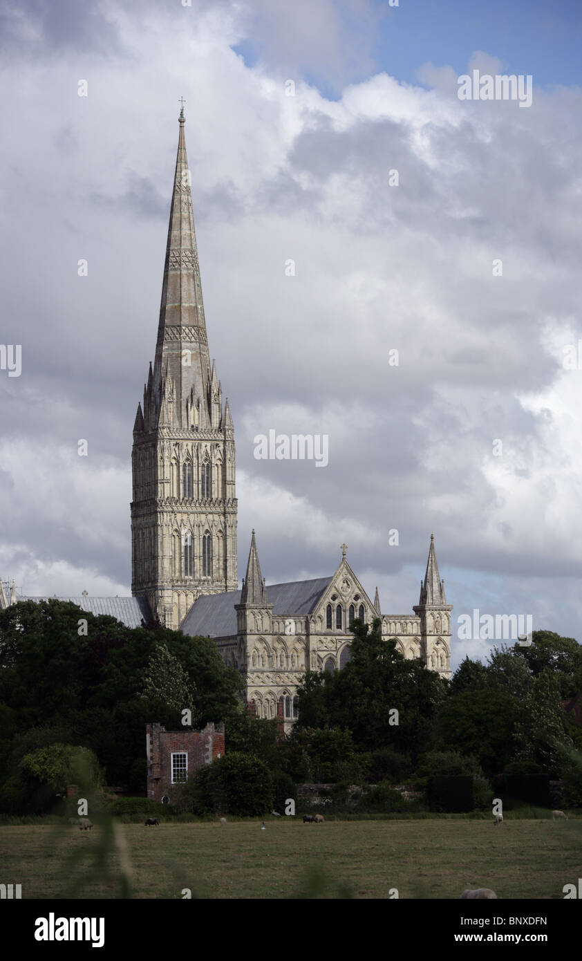 Kathedrale von Salisbury aus den Wiesen. Stockfoto