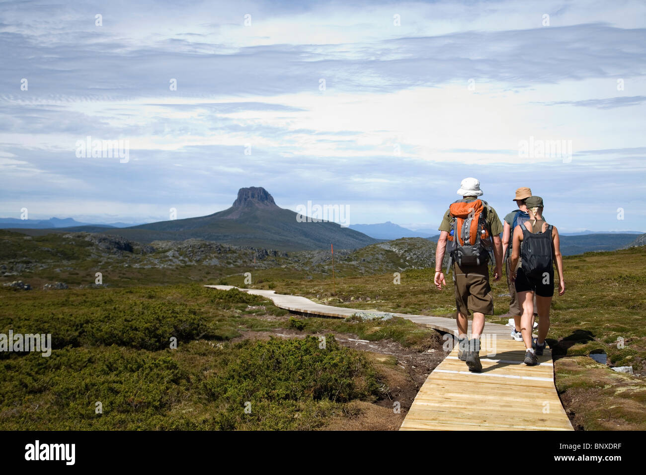 Wanderer auf dem Overland Track auf dem Cradle-Plateau.  Cradle Mountain-Lake St Clair National Park, Tasmanien, Australien Stockfoto