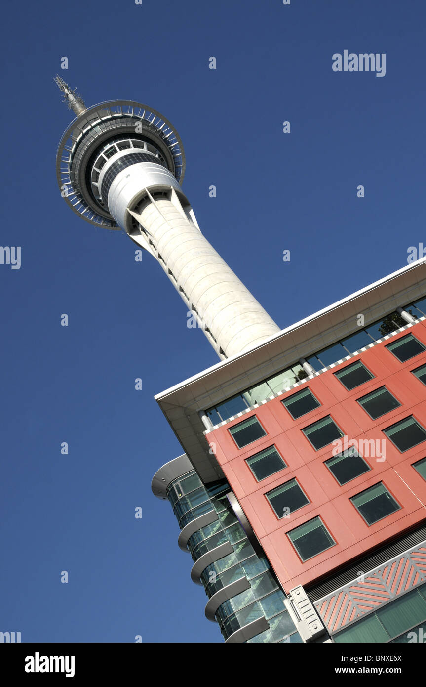Skytower In Auckland Neuseeland Stockfoto