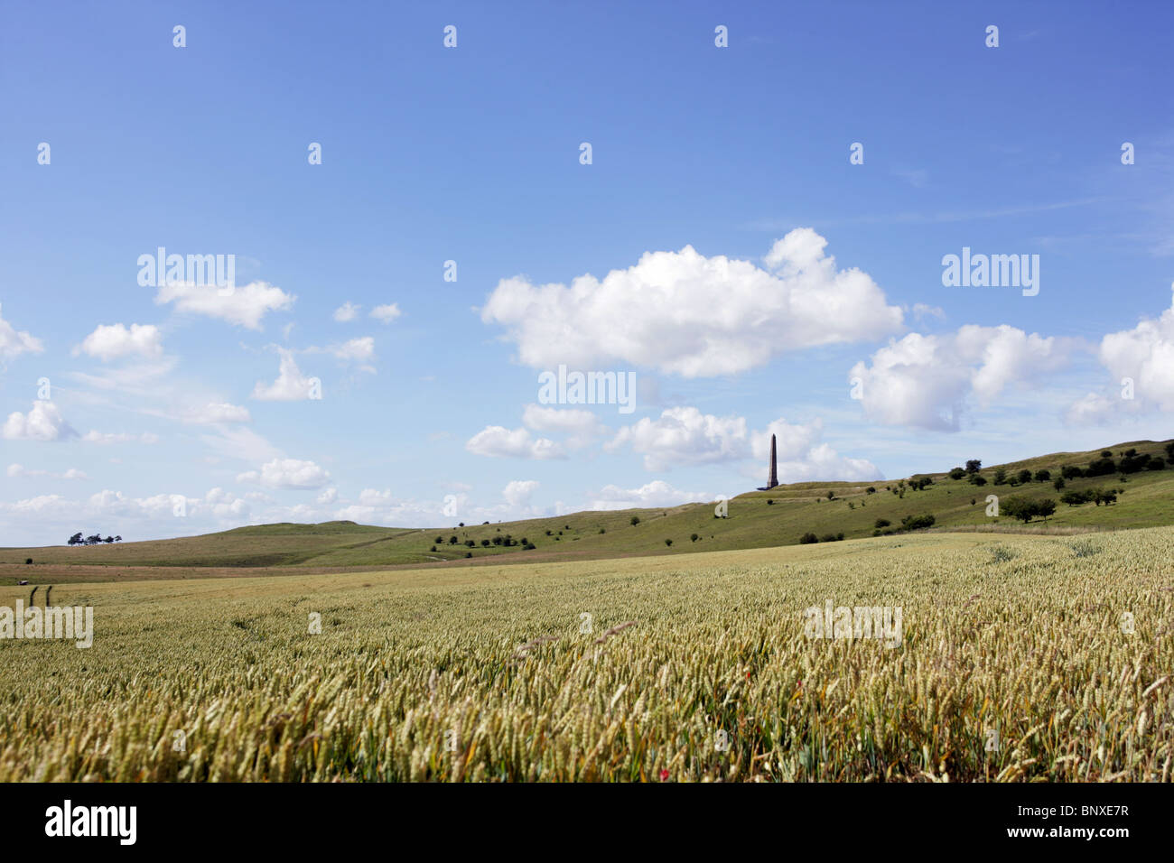 Blick auf das Lansdowne Monument, Wiltshire Stockfoto
