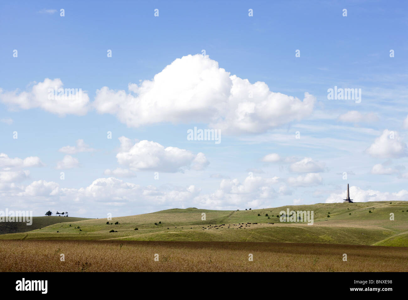 Blick auf das Lansdowne Monument, Wiltshire Stockfoto