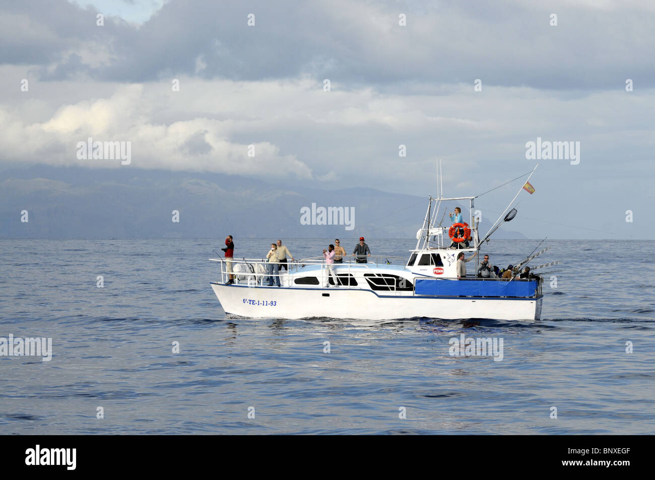 Angeln und Whale Watch Boot vor Costa Adeje In Teneriffa, Kanarische Inseln, Spanien Stockfoto
