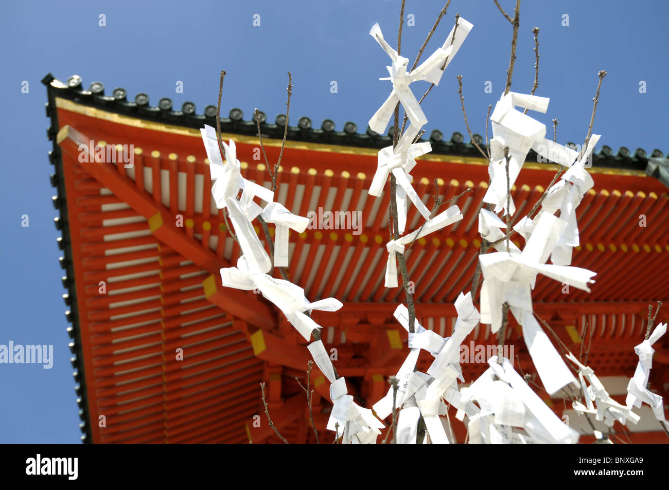 Wünsche an einem Baum an der Heian-Schrein In Kyoto Japan Stockfoto