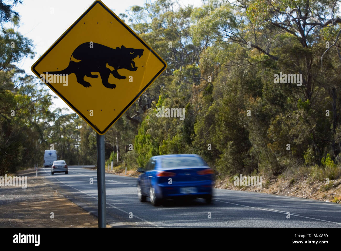 Tasmanische Teufel Straßenschild. Tasmanien, Australien Stockfoto