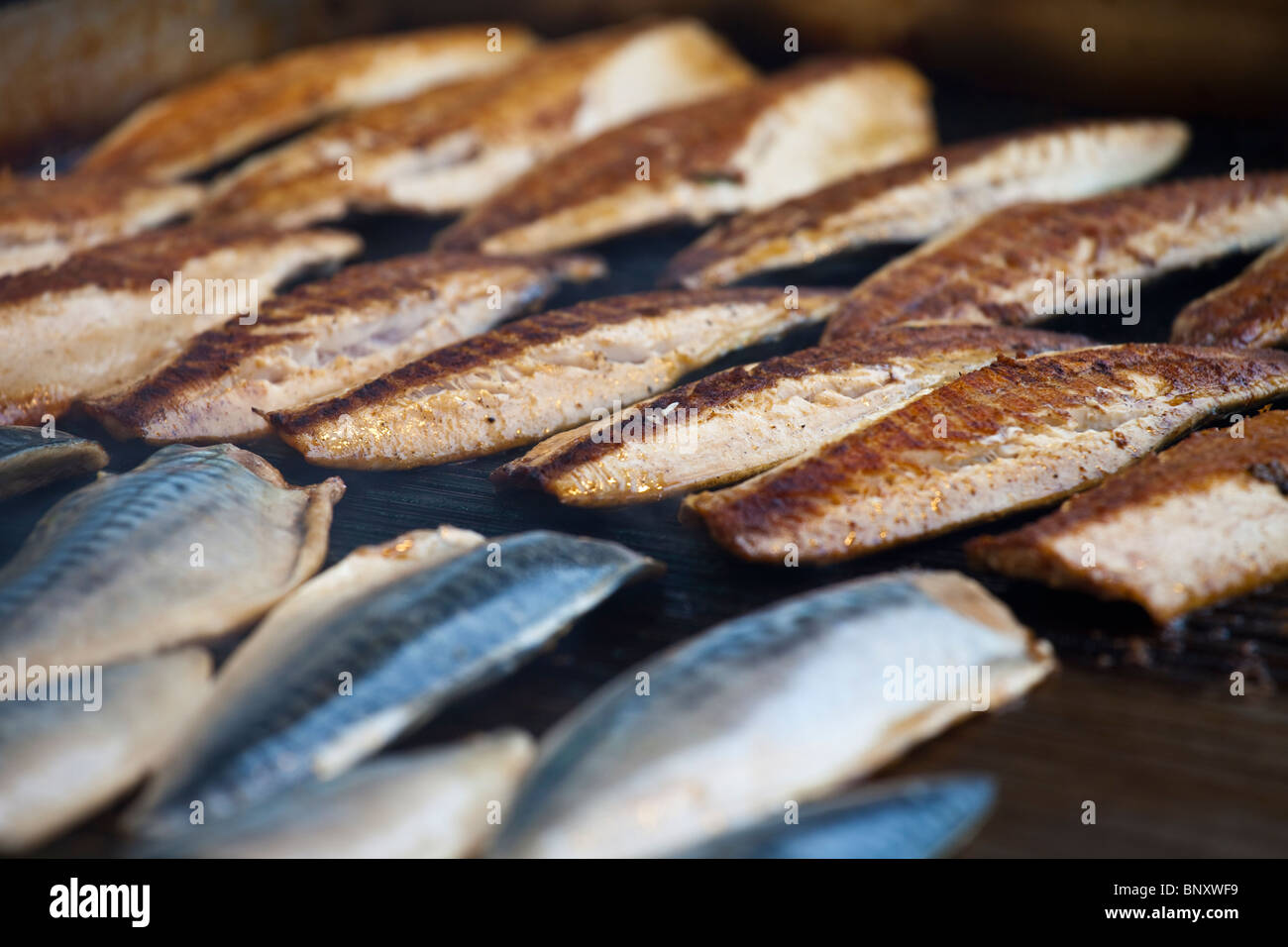 Grillen Fisch in Istanbul, Türkei Stockfoto