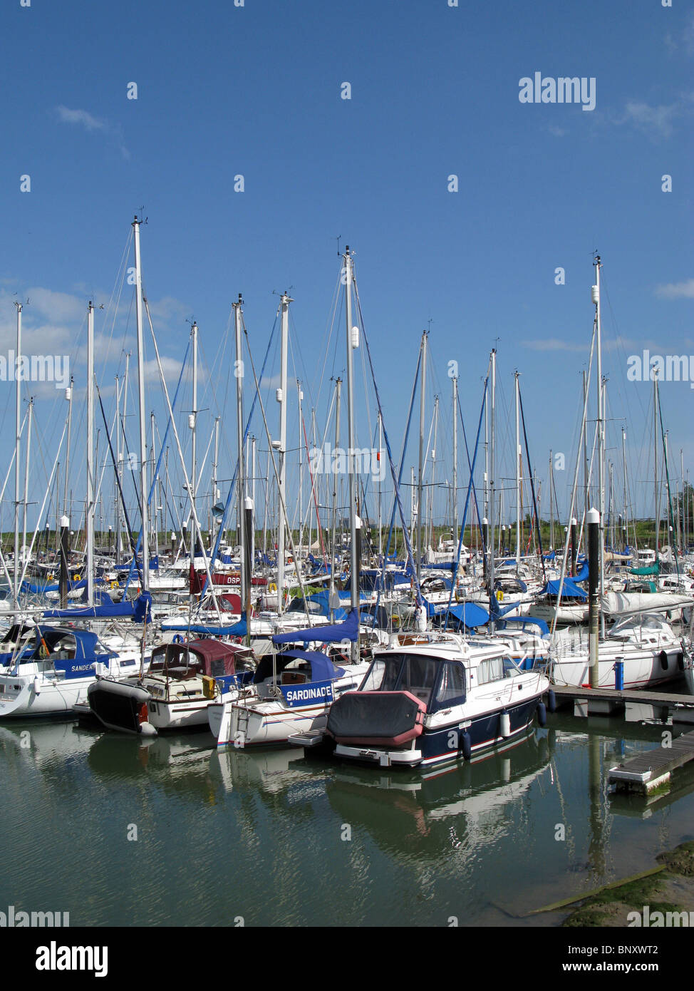 Boote und Yachten vor Anker in Tollesbury Marina Tollesbury auf die Dengie Penninsula, Essex, England. Stockfoto