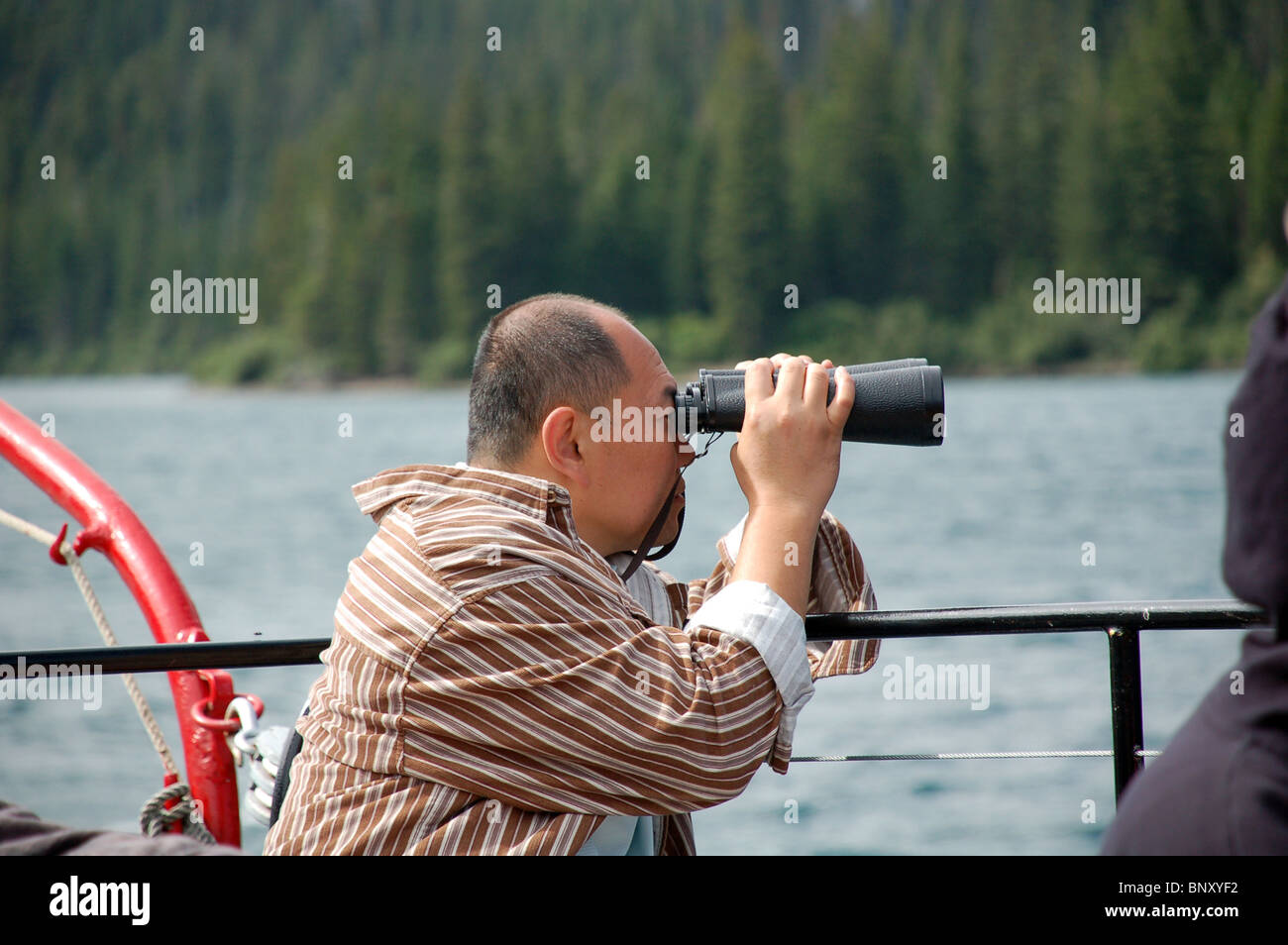 Ein Mann, Wildbeobachtung an Bord der historischen M.V. International auf Upper Waterton Lake Stockfoto