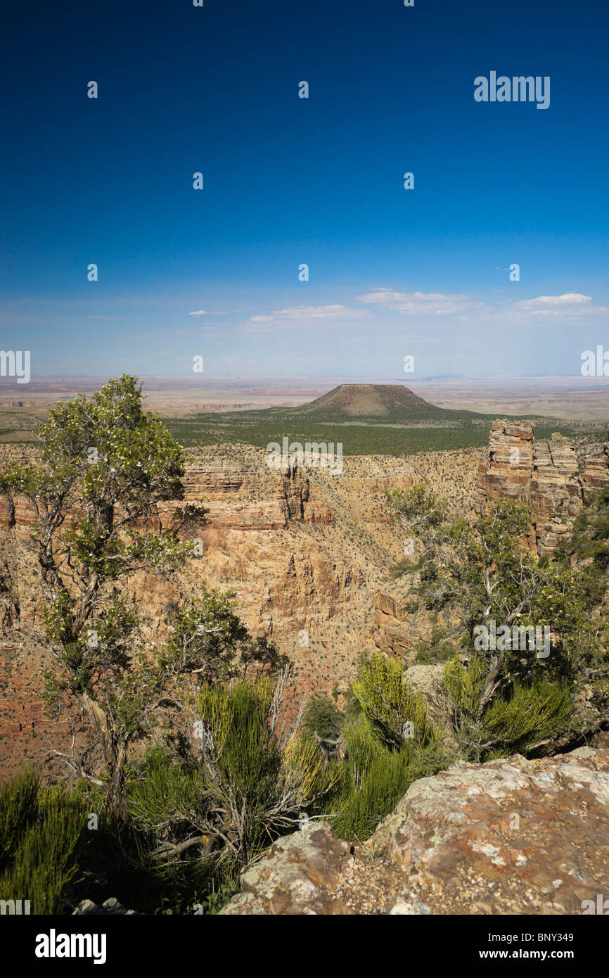 Grand-Canyon-Nationalpark USA - Desert View am Südrand. Zeigen Sie mit Cedar Mountain Mesa an. Stockfoto