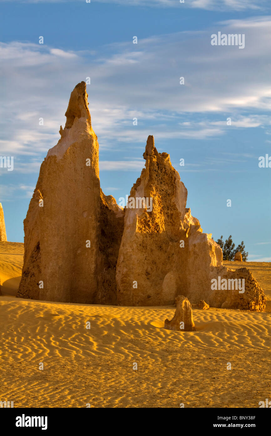 Die Pinnacles, Nambung National Park, Western Australia. Ungewöhnliche Kalkstein Felsspitzen in einem gelben Äolischen Sand der Wüste. Stockfoto