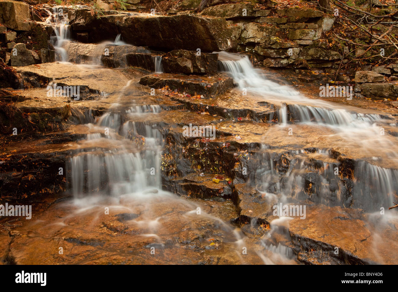 Wasserfall, Whitecap Stream, Acadia National Park, Maine, USA Stockfoto