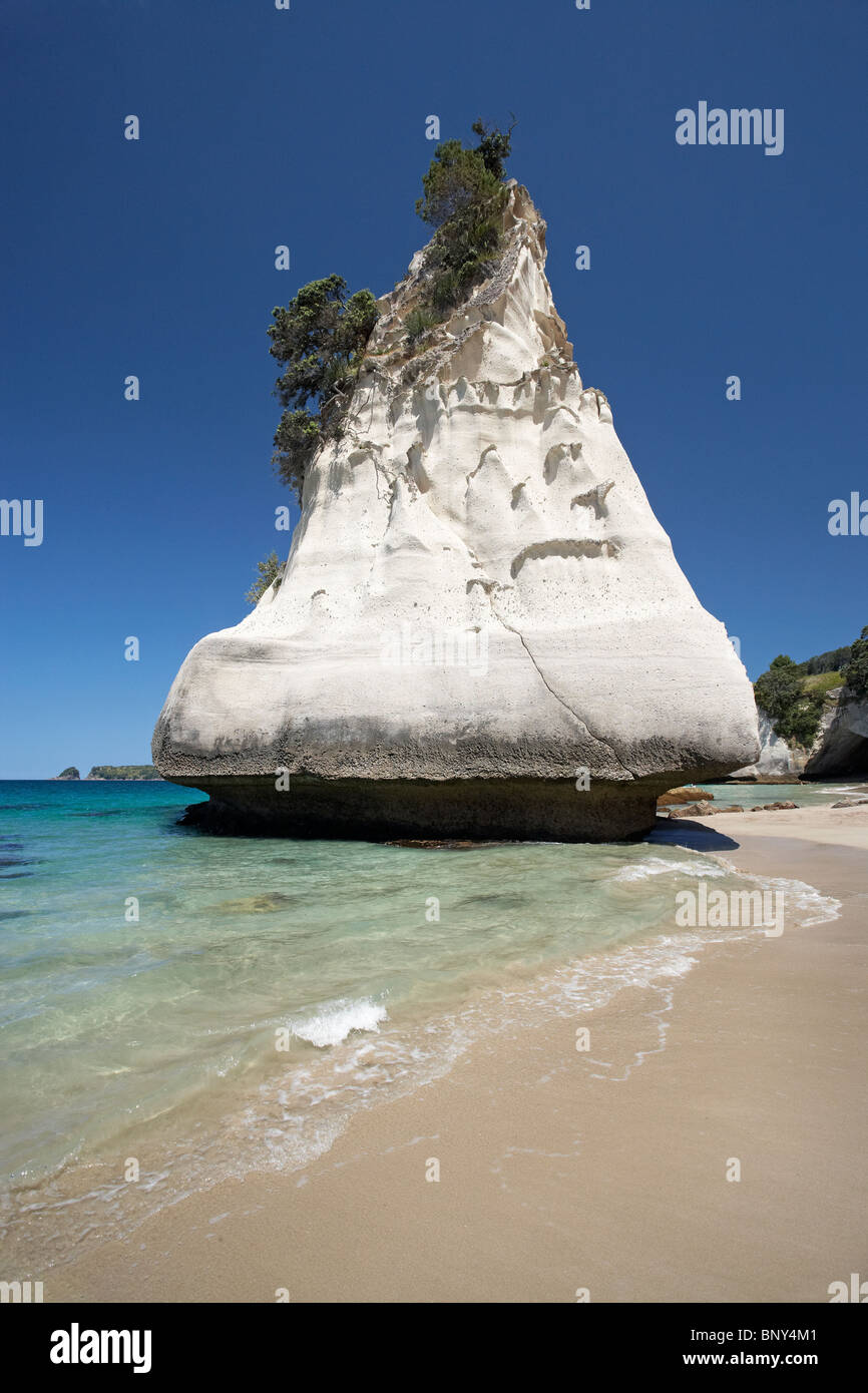 Rock Formation, Cathedral Cove, Coromandel Halbinsel, Nordinsel, Neuseeland Stockfoto