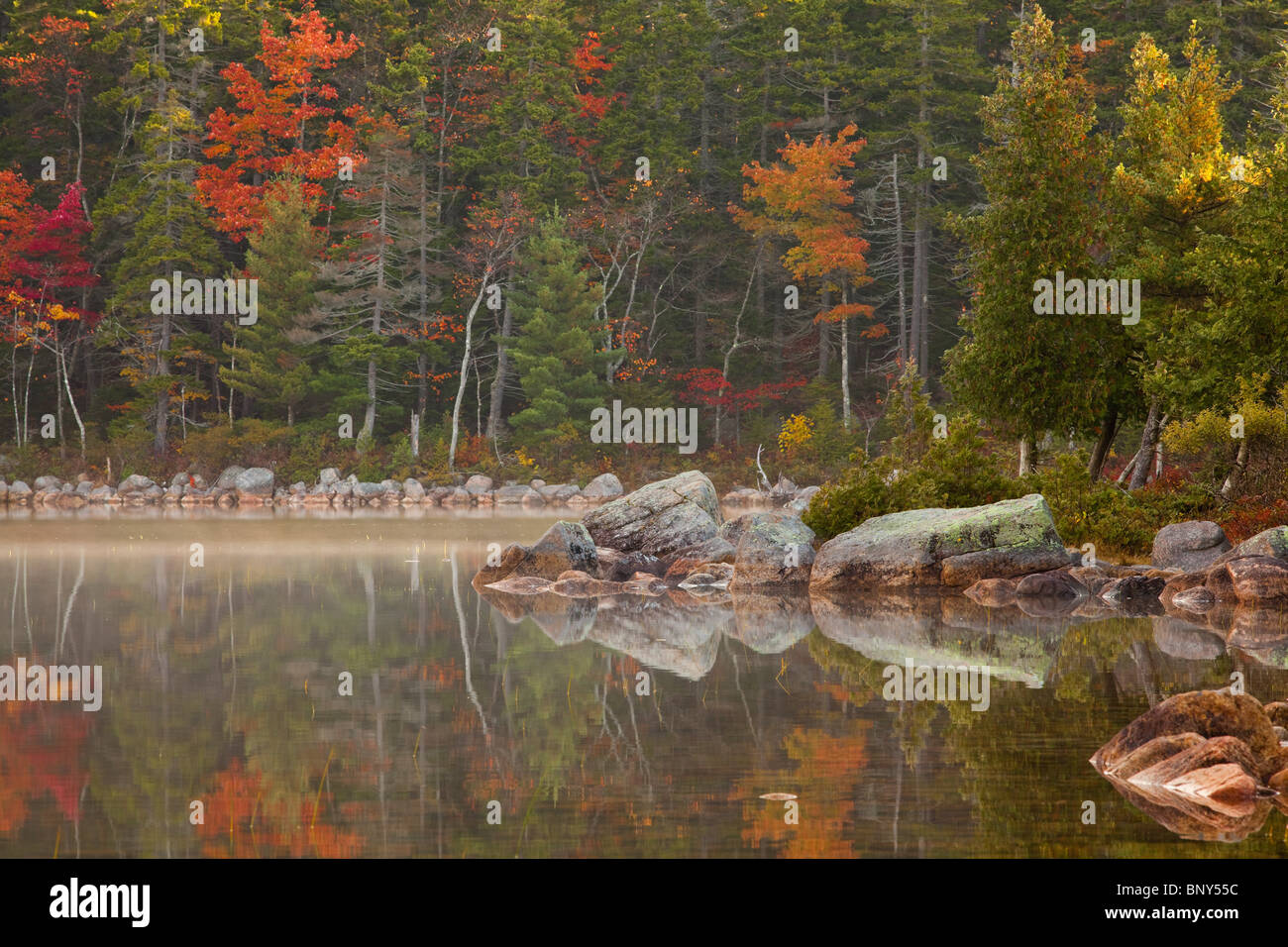 Ufer des Jordan Pond im Herbst, Acadia National Park, Maine, USA Stockfoto