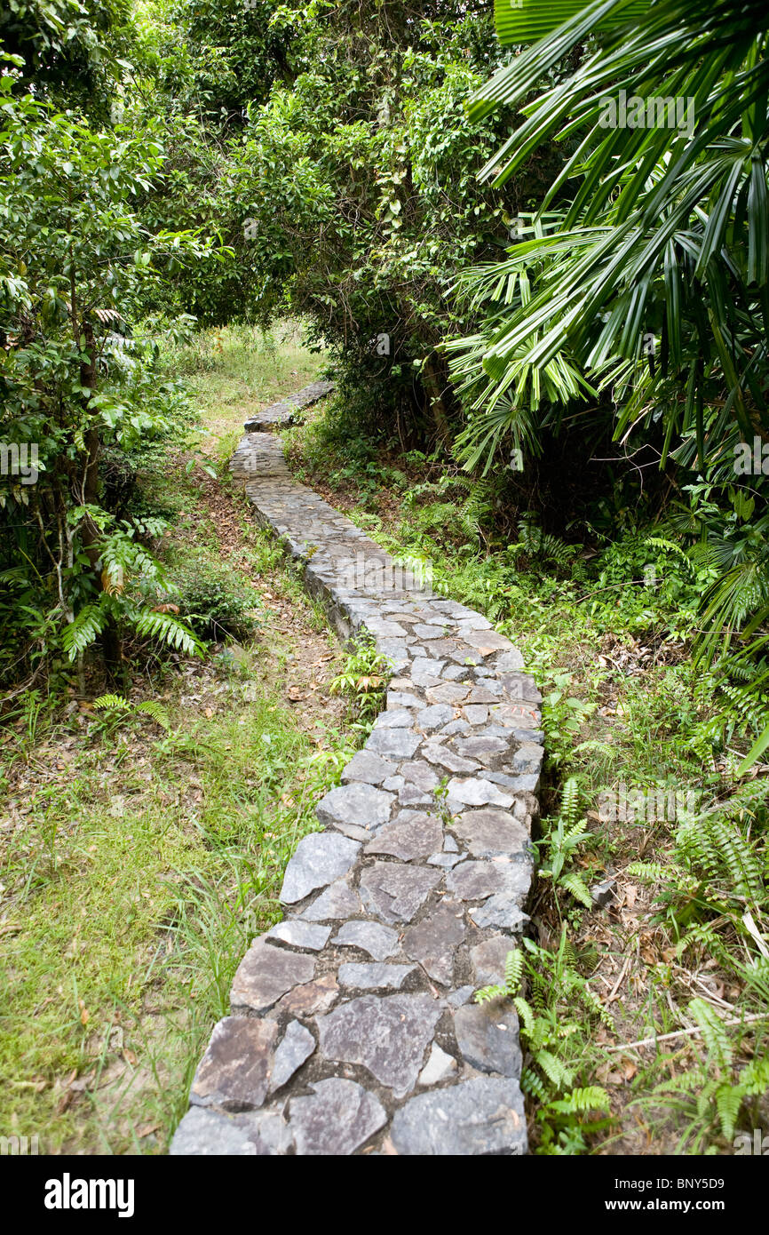 Wanderweg durch hängen Duong Cemetary auf Con Son Island, Vietnam Stockfoto