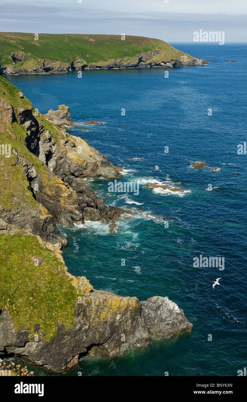 Die Küste in der Nähe von Navax Point an der Küste von Cornwall. Foto von Gordon Scammell Stockfoto