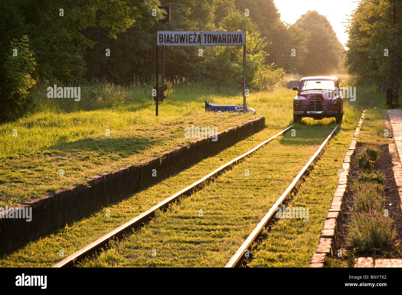 Die historischen Draisine aus Auto "Warszawa" in Bialowieza hergestellt. Stockfoto