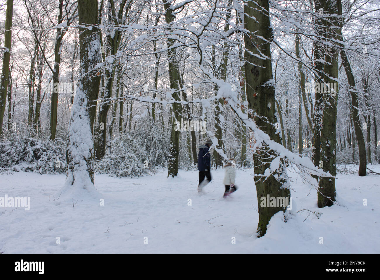 Woodland-Szene im Winter mit dicken Schnee am neuen Wäldchen, Sonning häufig mit zwei Figuren unter Bäumen, Oxfordshire, England, UK Stockfoto