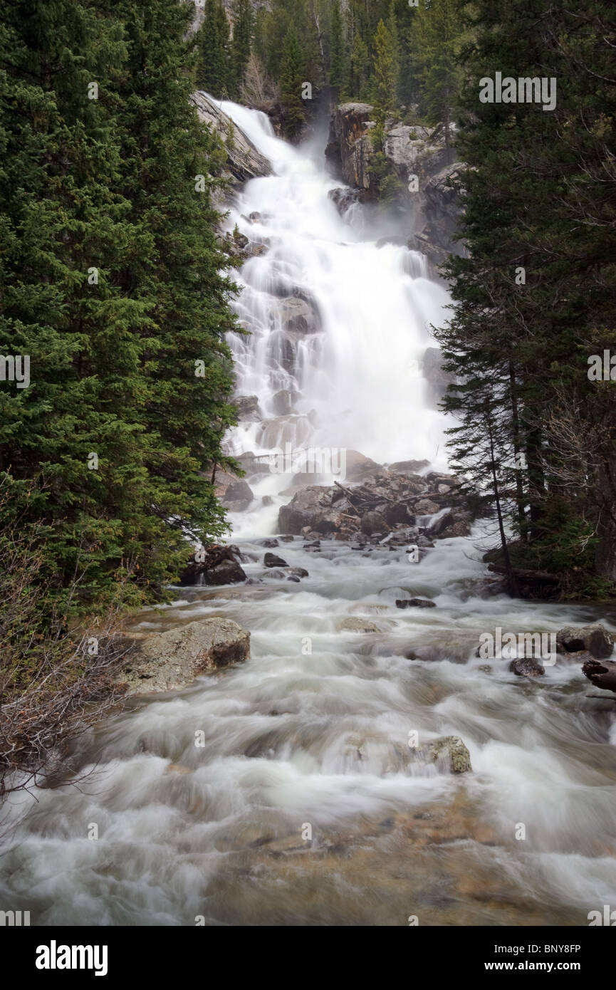 Wasserfall in der Wildnis des Grand Teton Stockfoto