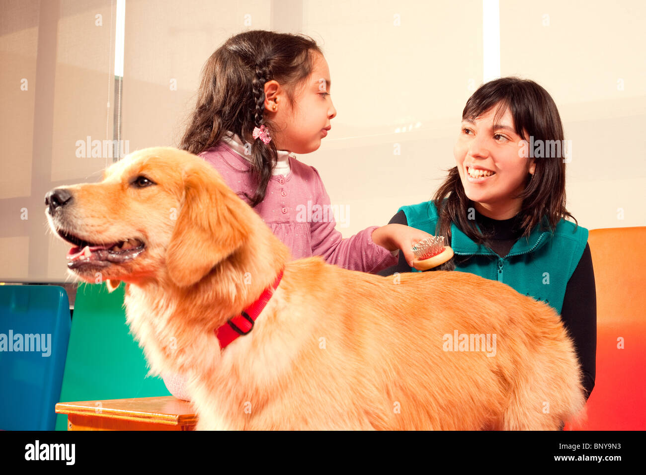 Patienten, mit Hilfe eines ausgebildeten Hund behandelt Stockfoto