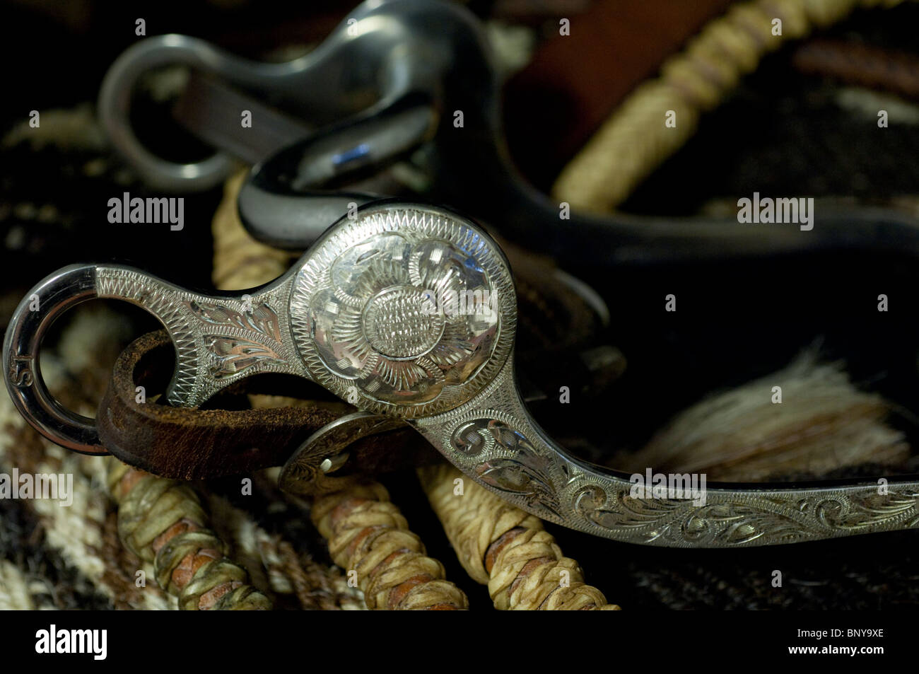 Westliches Pferdenausrüstung. Silber zeigen Curb Bit auf Hand geflochten Romel Zügel & Rosshaar Seil. Property-Release. Stockfoto