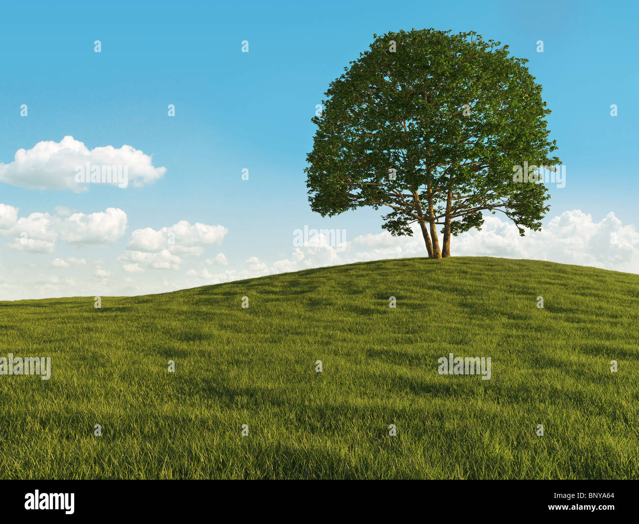 Landschaft von einem einsamen Baum auf einer Wiese Hügel Aginst ein bewölkter Himmel Stockfoto