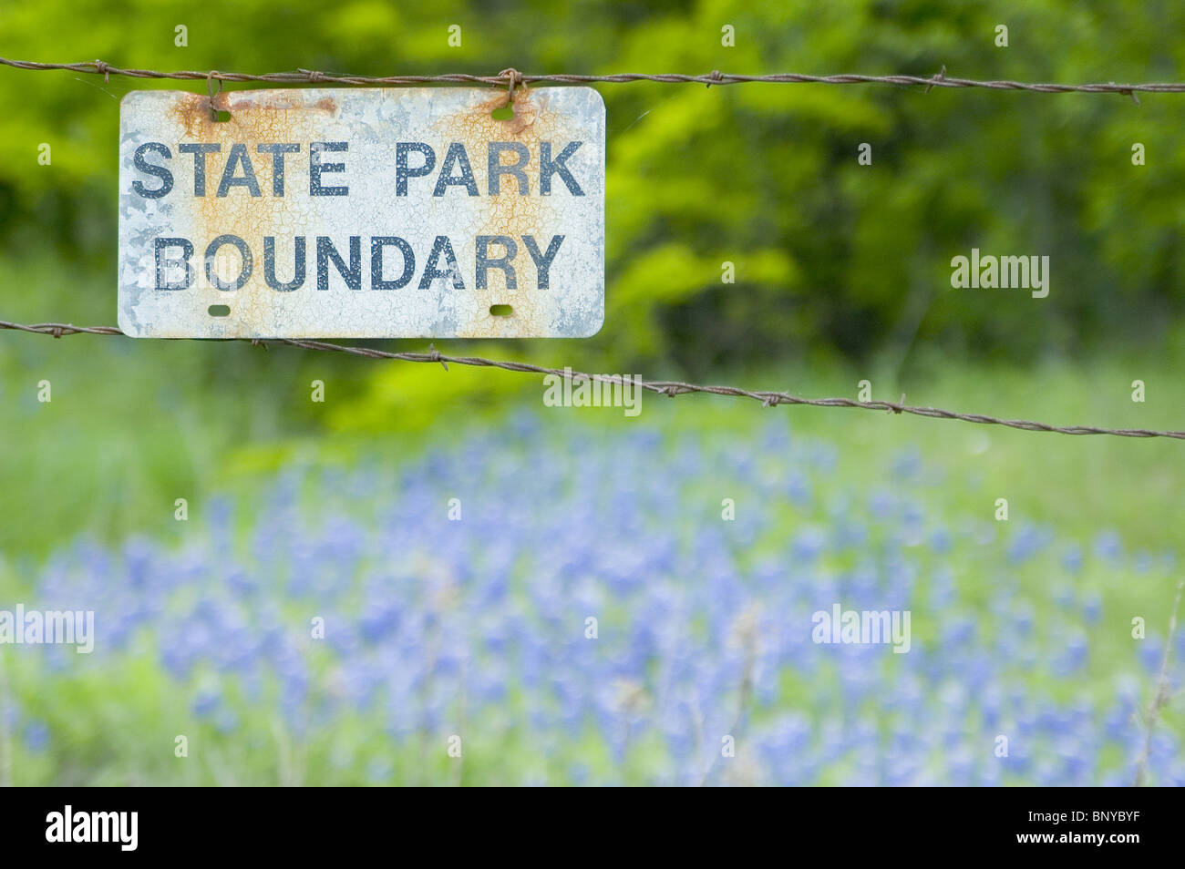 State Parkgrenze in einem Feld Bluebonnet Stockfoto