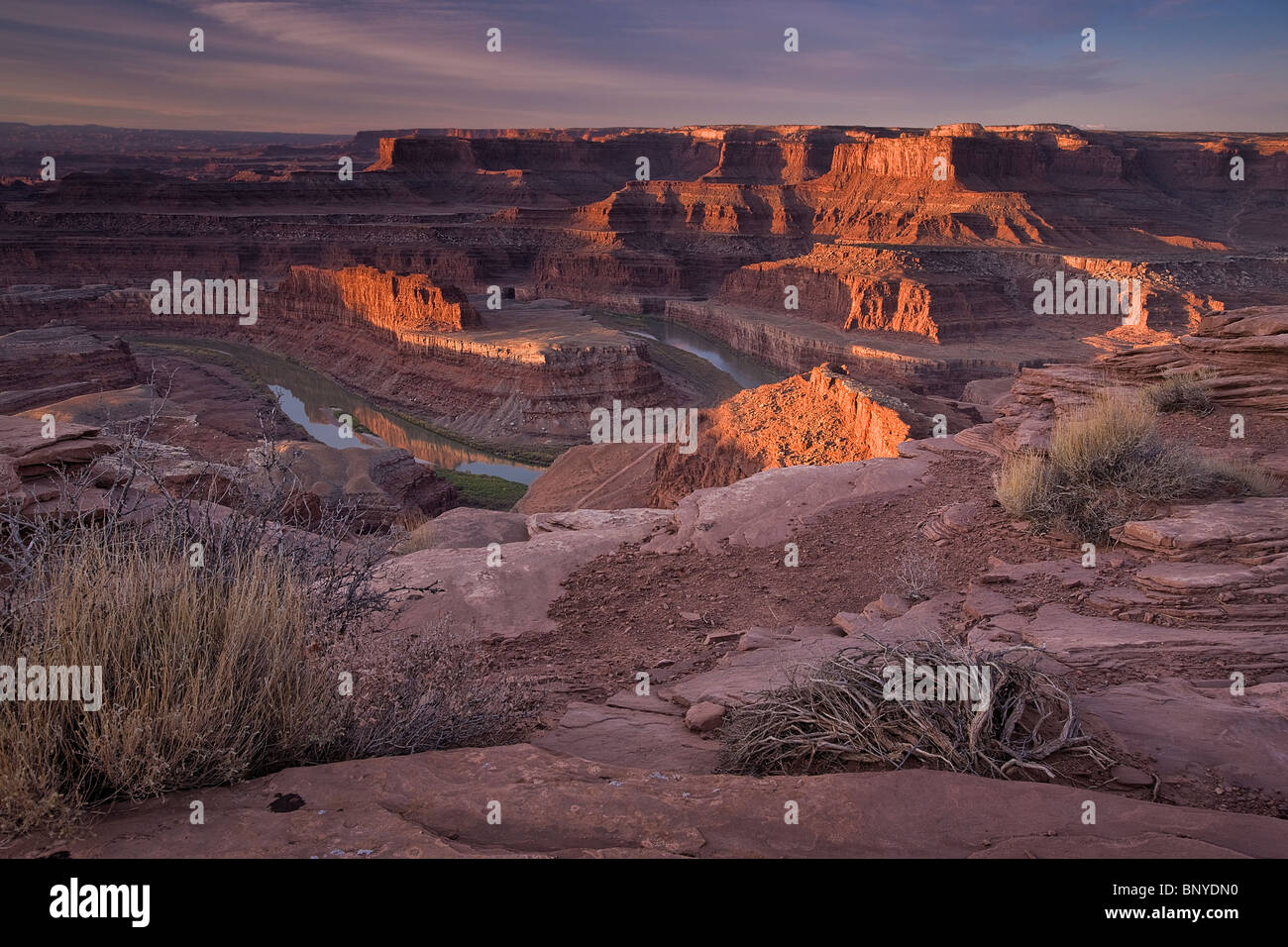 Sunrise Licht gleitet die Buttes und warf eine Reflexion in den Colorado River bei Dead Horse Point State Park, Utah, USA. Stockfoto