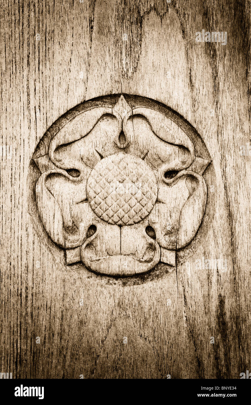 Tudor Rose. Alte Englische Rose in Holz geschnitzt. Sepia Getont Stockfoto