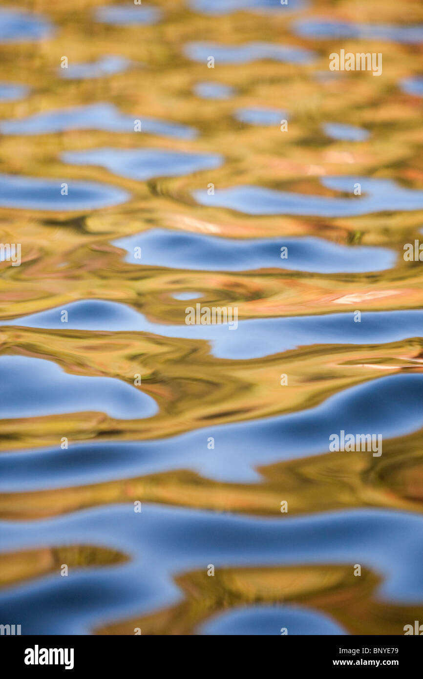 Reflexionen und Wellen, Bärensee, Rocky Mountain Nationalpark, Colorado, USA Stockfoto