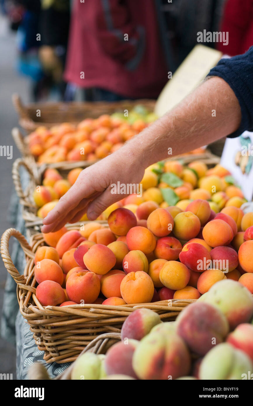 Frisches Obst auf dem Salamanca Market am Salamanca Place. Hobart, Tasmanien, Australien Stockfoto