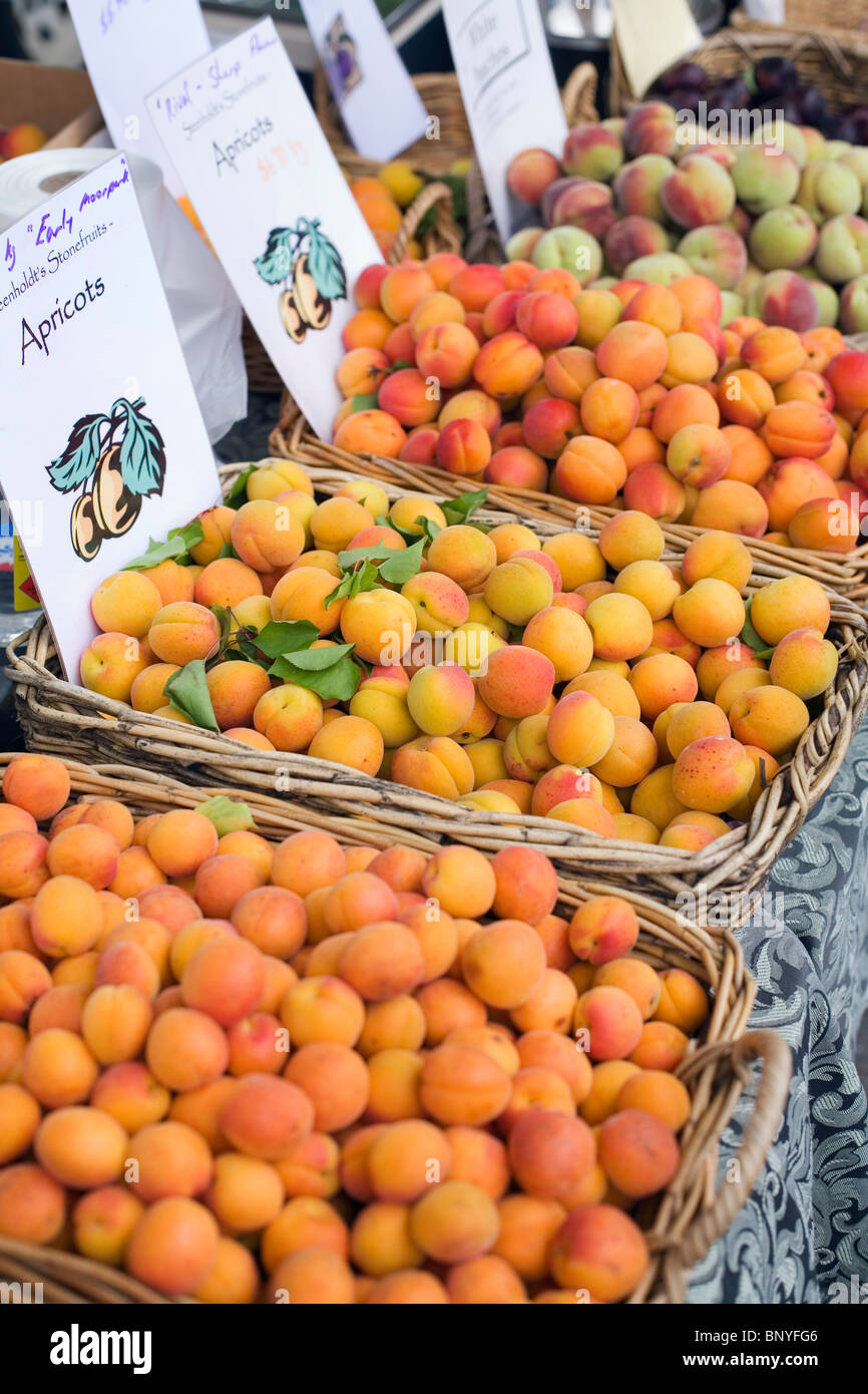 Frisches Obst auf dem Salamanca Market am Salamanca Place. Hobart, Tasmanien, Australien Stockfoto