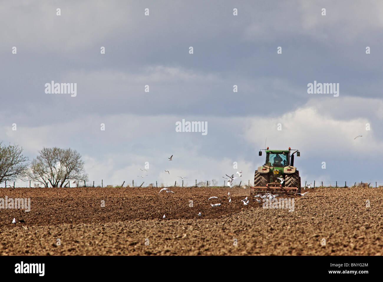 John Deere Traktor Eggen ein Feld in Perthshire Stockfoto