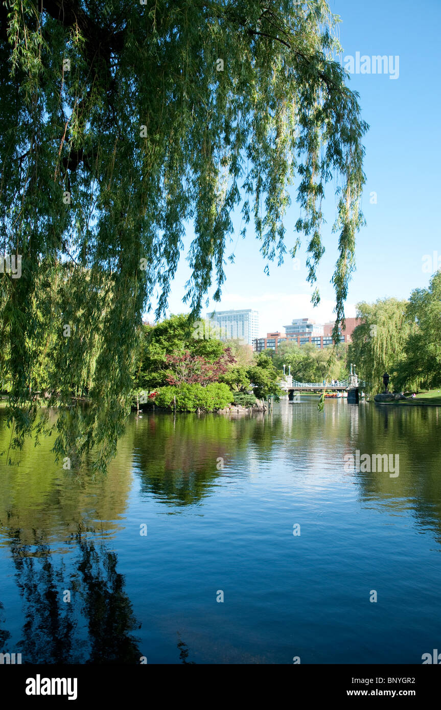 Teich im öffentlichen Garten in Boston, Massachusetts Stockfoto