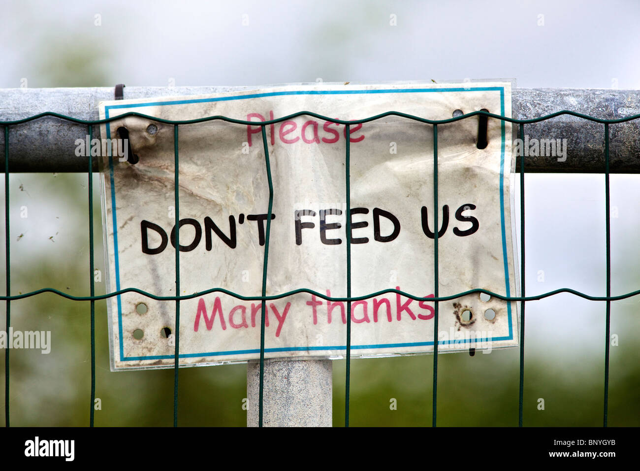 Hand gemachte Zeichen auf ein ab-Hof - "Bitte nicht füttern uns" Stockfoto
